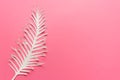 White paper feather on pink backgound