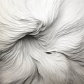 Abstract White Swirls With Movement - Photography By Nic King