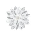 White paper flower in origami technique. Royalty Free Stock Photo