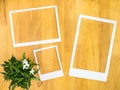 White paper frame with flowerpot on wood background.