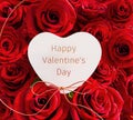 White paper heart with Happy Valentine`s Day text on red roses background Royalty Free Stock Photo