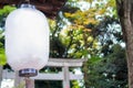 White paper lantern traidional japanese hanging on roof