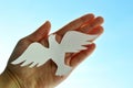 White paper origami bird on blue sky background Royalty Free Stock Photo