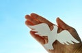 White paper origami bird on blue sky background Royalty Free Stock Photo