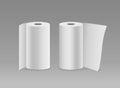 White paper roll long vertical design two roll ,on gray background