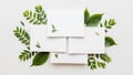 White paper stack with green leaves isolated on white background Royalty Free Stock Photo