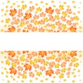 White paper stripe banner on orange autumn background. Vector illustration of maple leaf fall. Royalty Free Stock Photo