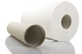 White paper towel roll Royalty Free Stock Photo