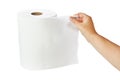White paper towel roll Royalty Free Stock Photo