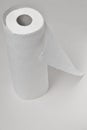 White paper towel roll Royalty Free Stock Photo