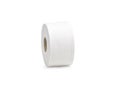 The white paper towel roll. Royalty Free Stock Photo