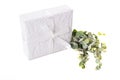 White paper wrapped gift box with green leaves decoration Royalty Free Stock Photo