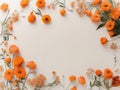 White paper for writing messages with orange poppies and leaves Royalty Free Stock Photo