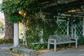 White Park Bench With Stone Wall And Green Leaves Of The Ivy In Quiet Environment. Old Grey Rustic Wooden Bench In Ivy Royalty Free Stock Photo