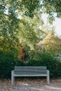 White Park Bench With Stone Wall And Green Leaves Of The Ivy In Quiet Environment. Old Grey Rustic Wooden Bench In Ivy Royalty Free Stock Photo