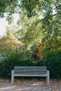 White Park Bench With Stone Wall And Green Leaves Of The Ivy In Quiet Environment. Old Grey Rustic Wooden Bench In Ivy Royalty Free Stock Photo