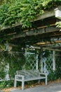 White Park Bench With Stone Wall And Green Leaves Of The Ivy In Quiet Environment. Old Grey Rustic Wooden Bench In Ivy Royalty Free Stock Photo