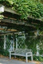 White Park Bench With Stone Wall And Green Leaves Of The Ivy In Quiet Environment. Old Grey Rustic Wooden Bench In Ivy Royalty Free Stock Photo