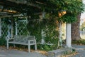 White Park Bench With Stone Wall And Green Leaves Of The Ivy In Quiet Environment. Old Grey Rustic Wooden Bench In Ivy Royalty Free Stock Photo