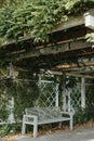 White Park Bench With Stone Wall And Green Leaves Of The Ivy In Quiet Environment. Old Grey Rustic Wooden Bench In Ivy Royalty Free Stock Photo