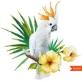 White parrot, hibiscus, tropical, palm trees, flowers, pattern, wallpaper Royalty Free Stock Photo