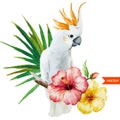 White parrot, hibiscus, tropical, palm trees, flowers, pattern, wallpaper Royalty Free Stock Photo