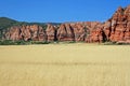 White pasture and red cliffs Royalty Free Stock Photo