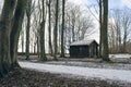 White path in front of little cottage in winter forest.