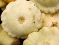 White patty pan squash, Cucurbita pepo Royalty Free Stock Photo