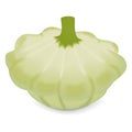 White Patty Pan squash