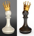 White pawn with a golden crown