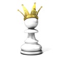 White pawn with a golden crown Royalty Free Stock Photo