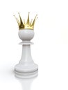 White pawn king