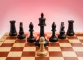 The white pawn opposes the black pieces on the chessboard Royalty Free Stock Photo