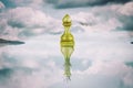 White pawn reflection queen. Career growth concept. Life goals and achievements. Lifestyle. Business Royalty Free Stock Photo