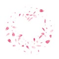 White Peach Petal Vector White Background. Pastel