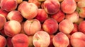 White peaches on display Royalty Free Stock Photo