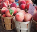 White Peaches at Farmers Market Royalty Free Stock Photo