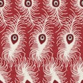 White peacock feathers on a textured red background seamless vector pattern