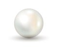 White pearl realistic 3d on white background. Shiny natural white sea pearl with light effects Royalty Free Stock Photo