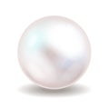 White pearl. Sea pearl isolated on white background. Shiny oyster pearl ball for luxury accessories. Vector illustration