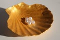White Pearls on a Shell Jewelry Dish, White Background Royalty Free Stock Photo