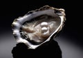 White pearls in opened oyster shell on black background.Macro.AI Generative Royalty Free Stock Photo