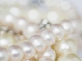 White pearls texture