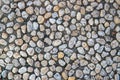 White pebble in concrete path. Top view stone background. Seaside pebble photo texture. Stone paving surface Royalty Free Stock Photo