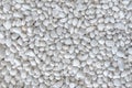 White pebble stone background texture. Royalty Free Stock Photo