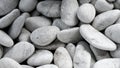 White pebbles close up in sunny day, selective focus. Royalty Free Stock Photo