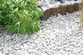White pebbles stones decoration in garden
