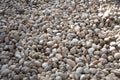 White pebbles texture close up Royalty Free Stock Photo
