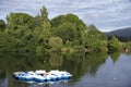 White peddle boats in row moored at lake